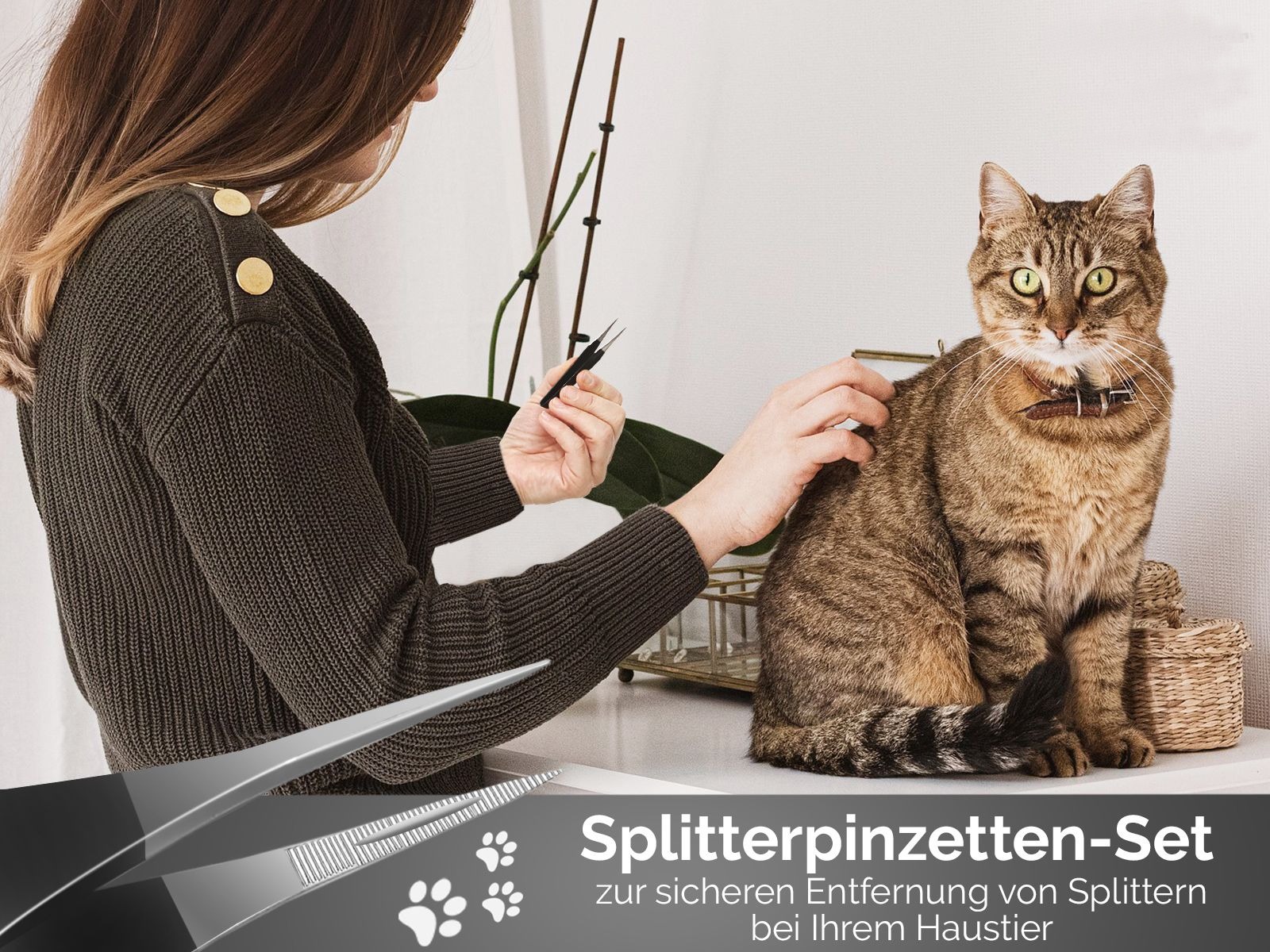 3-Piece Tick Remover Tweezers Set – Stainless Steel Tools for Pets 3-Piece Tick Remover Tweezers Set – Stainless Steel Tools for Pets