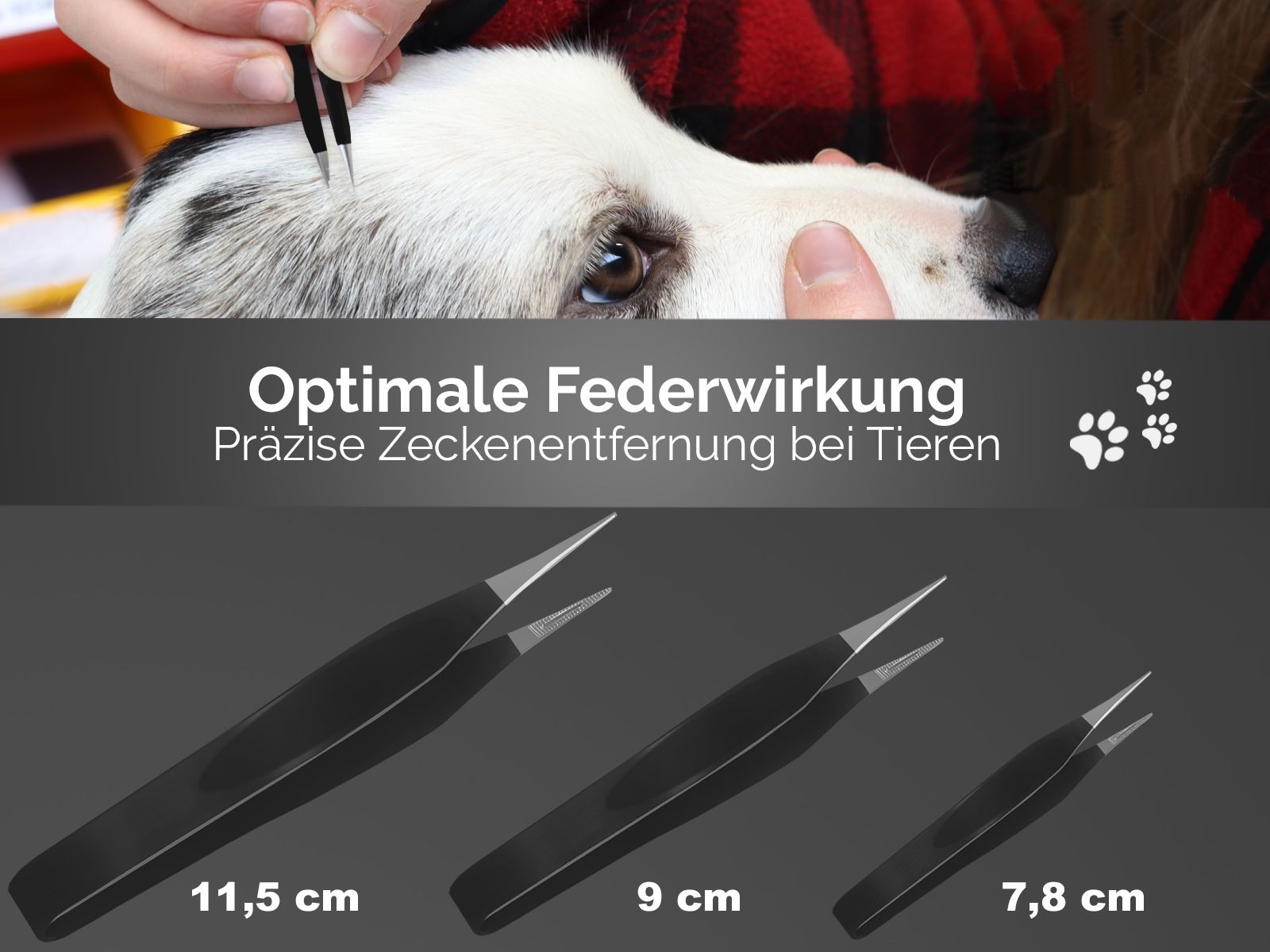 3-Piece Tick Remover Tweezers Set – Stainless Steel Tools for Pets 3-Piece Tick Remover Tweezers Set – Stainless Steel Tools for Pets