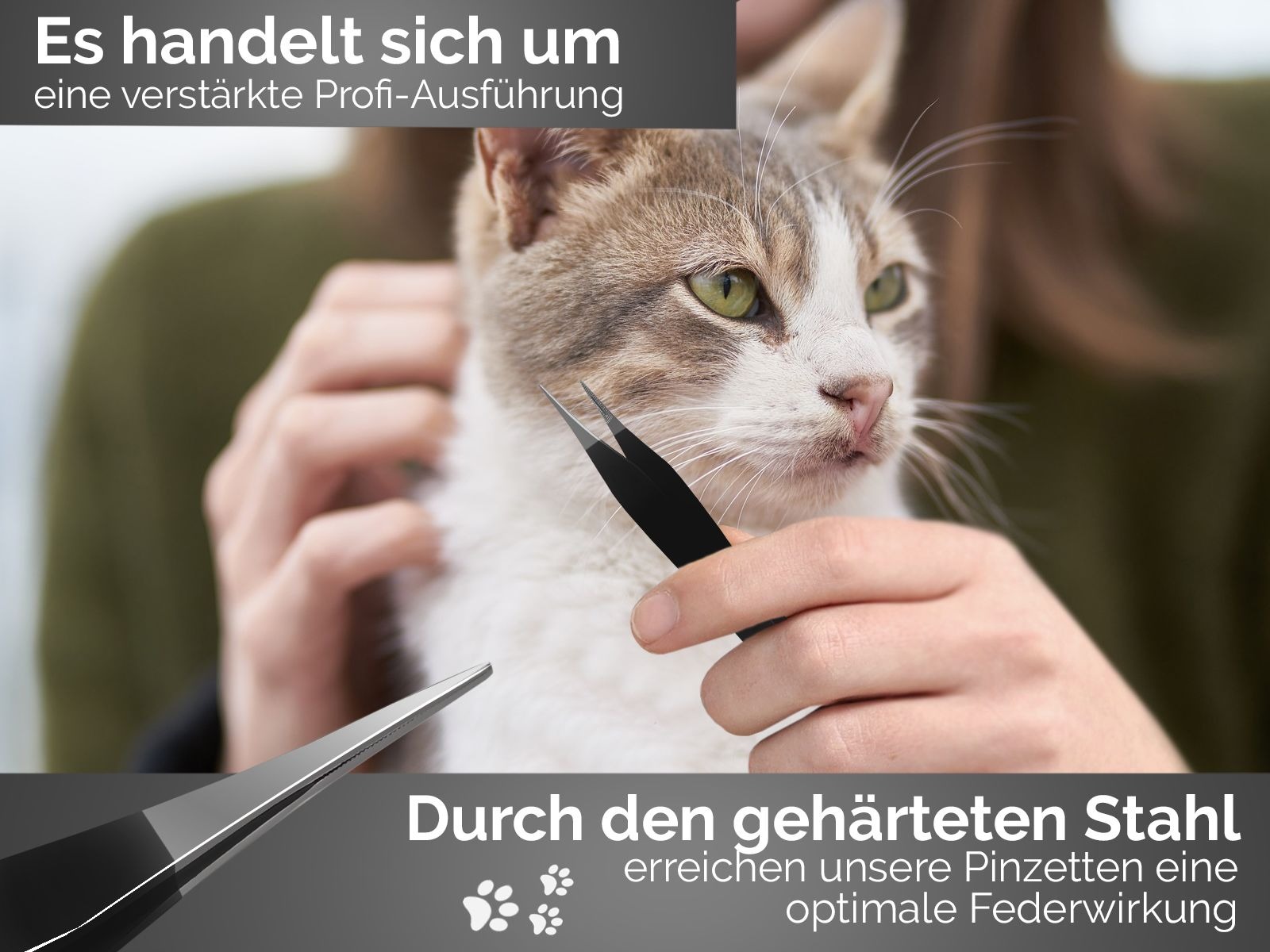 3-Piece Tick Remover Tweezers Set – Stainless Steel Tools for Pets 3-Piece Tick Remover Tweezers Set – Stainless Steel Tools for Pets